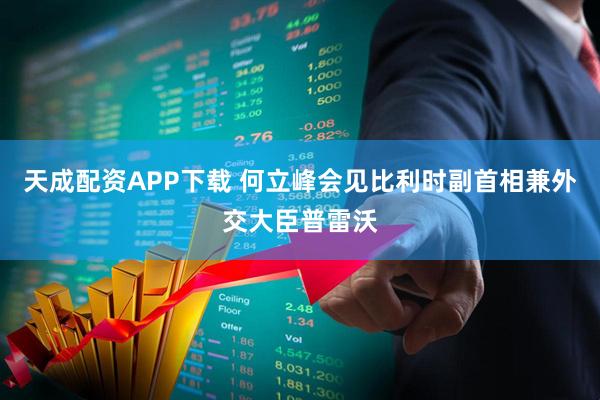 天成配资APP下载 何立峰会见比利时副首相兼外交大臣普雷沃